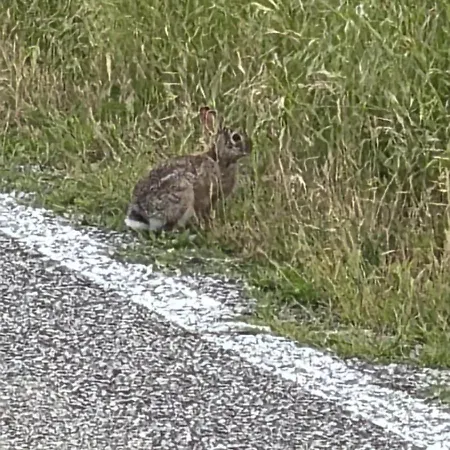 Casa Di Eva Taglio di Po