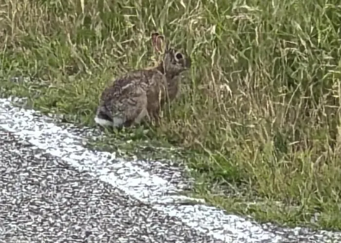 Casa Di Eva Taglio Di Po